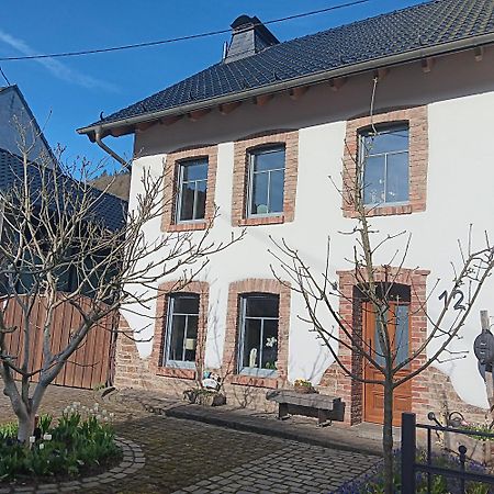 Eifler Brunnenhaus Villa Dumpelfeld Kültér fotó